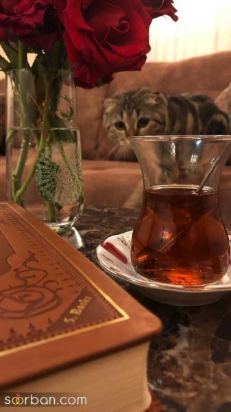  عکس چای در دست دختر