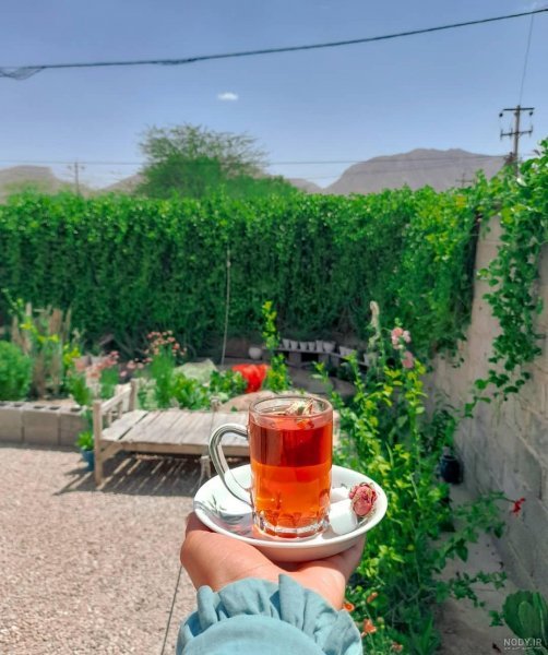  عکس چای در شب