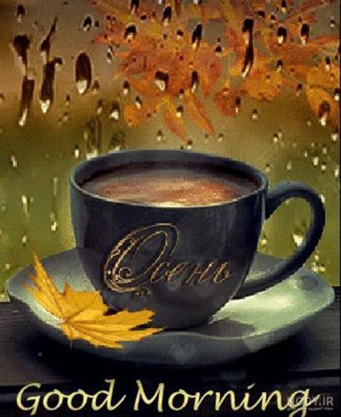  عکس چای در شب