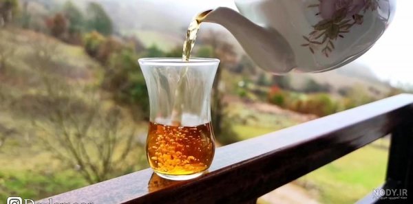  عکس چای در شب