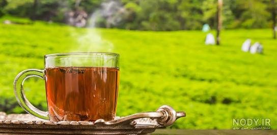  عکس چای در شب