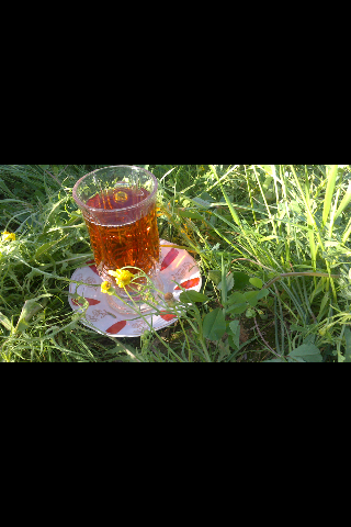  عکس چای در شب