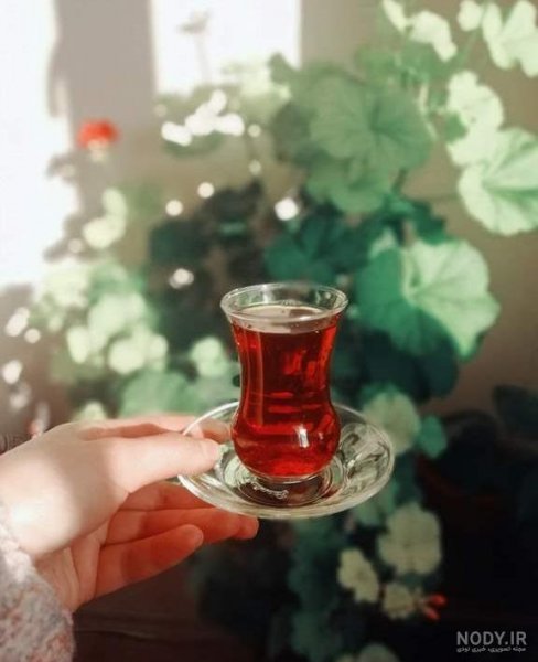  عکس چای در شب