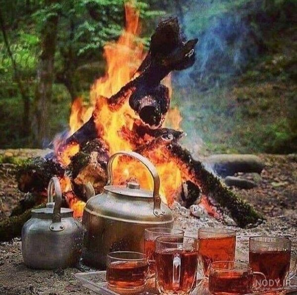  عکس چای در شب