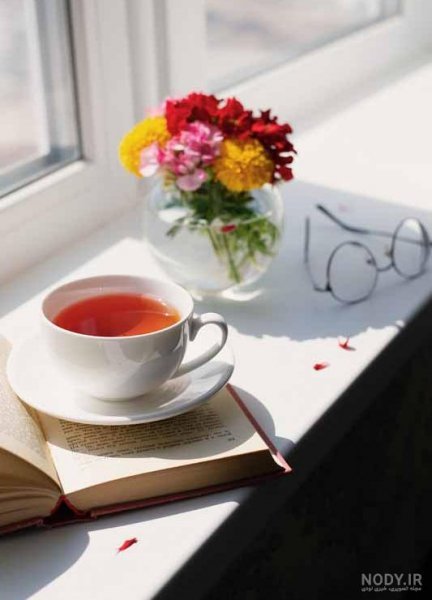  عکس چای در شب