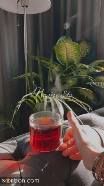  عکس چای برای پروفایل