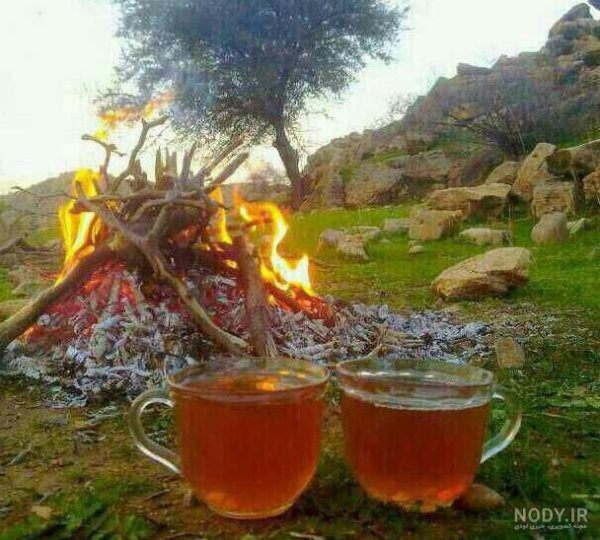  عکس فنجان چای عاشقانه