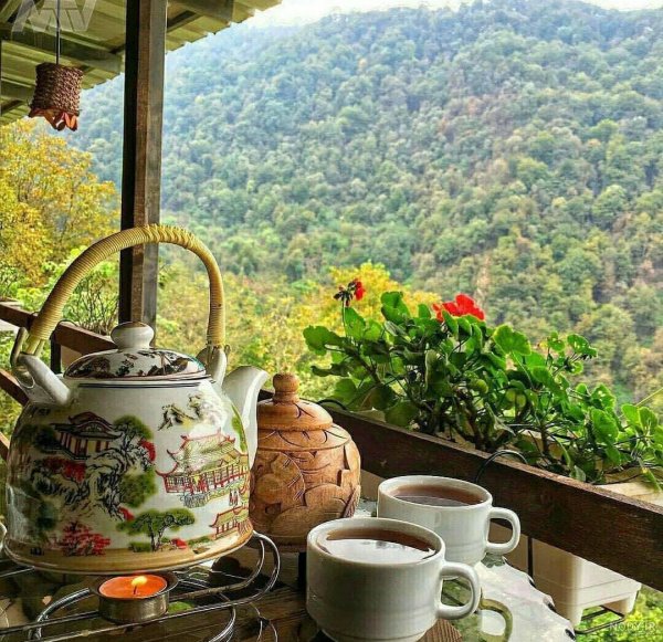 عکس فنجان چای عاشقانه