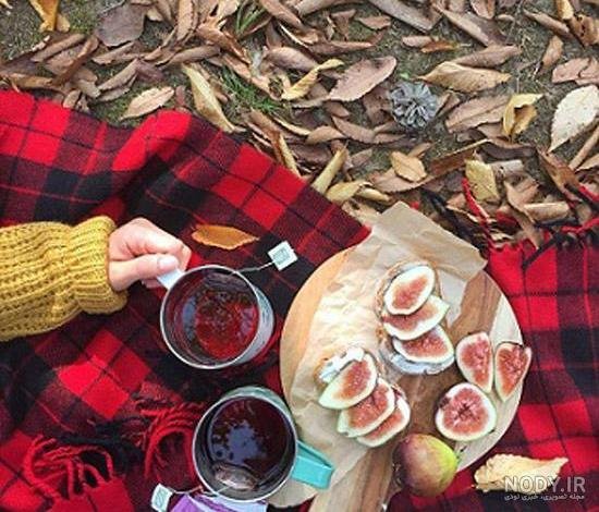  عکس فنجان چای عاشقانه