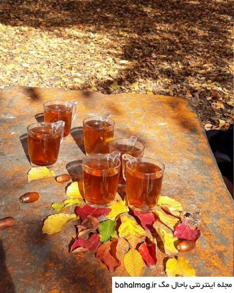 عکس فنجان چای در پاییز