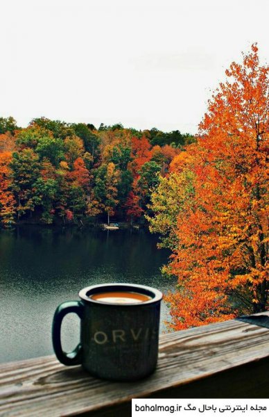  عکس فنجان چای در پاییز