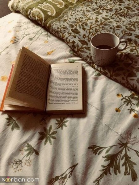  عکس استوری چایی