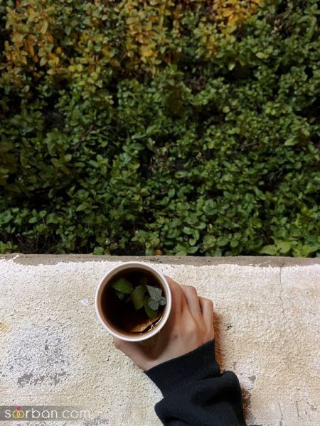  عکس استوری چایی