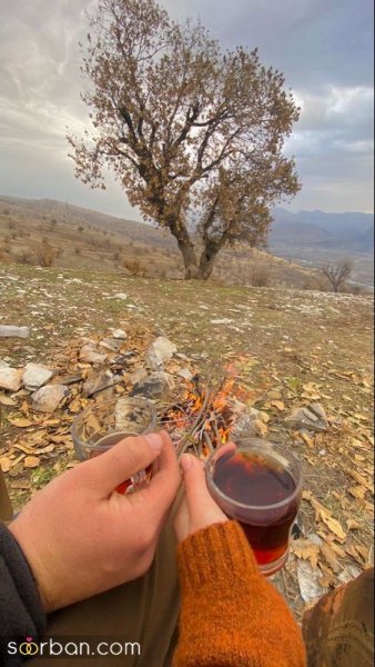  عکس چایی در خانه برای استوری