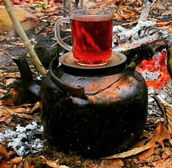 عکس چایی در طبیعت برای استوری