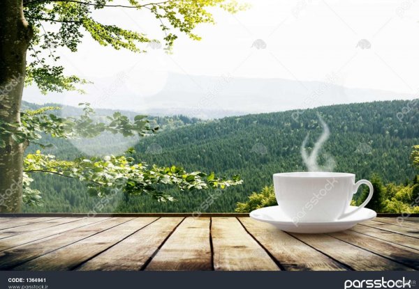  عکس چایی در طبیعت برای استوری