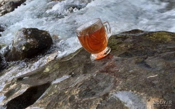  عکس چایی در طبیعت برای استوری