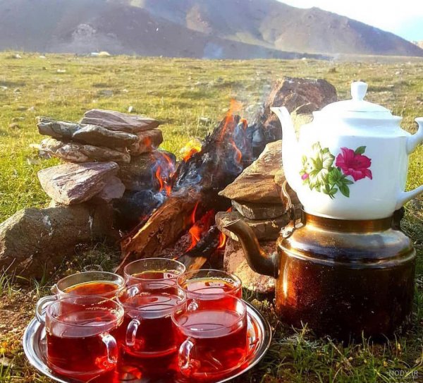  عکس چایی در طبیعت برای استوری