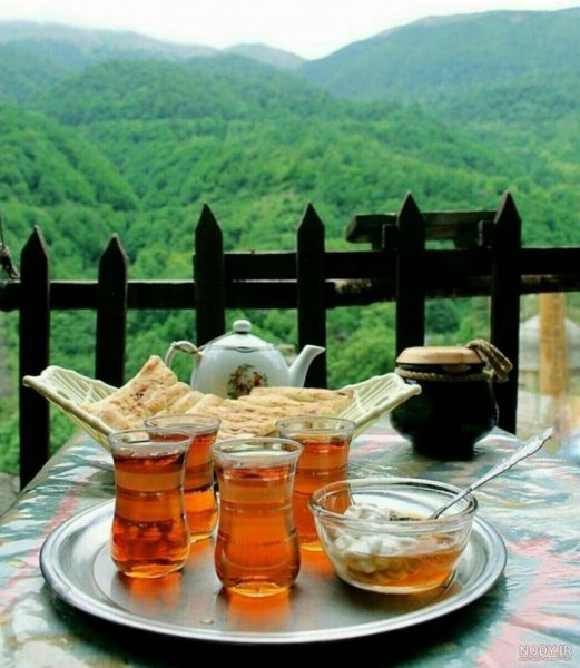  عکس چایی در طبیعت برای استوری