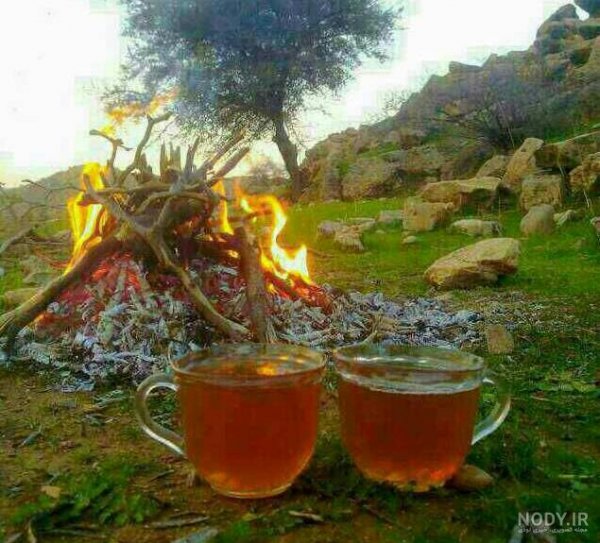  عکس چایی در طبیعت برای استوری