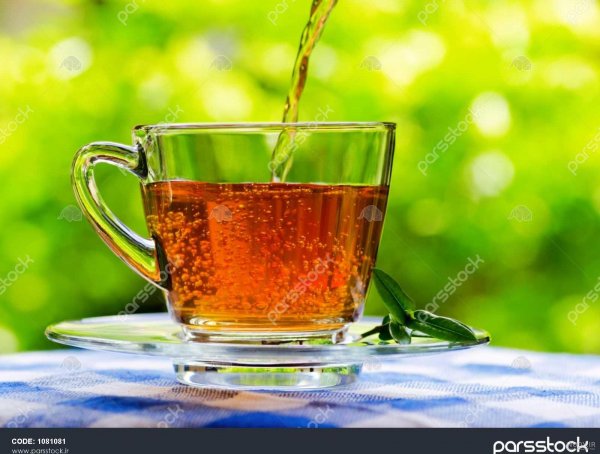  عکس چایی در طبیعت برای استوری