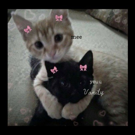  عکس عاشقانه پروفایل