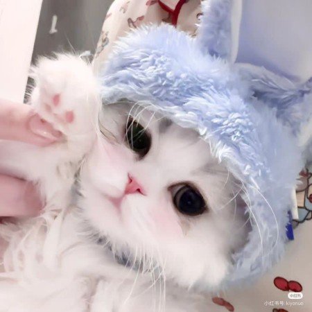  عکس عاشقانه برای پروفایل