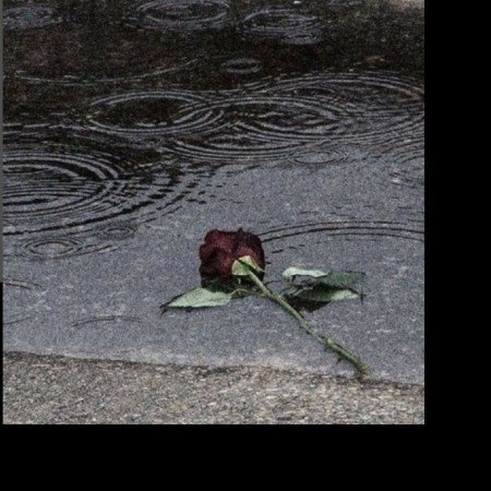  عکس عاشقانه برای پروفایل