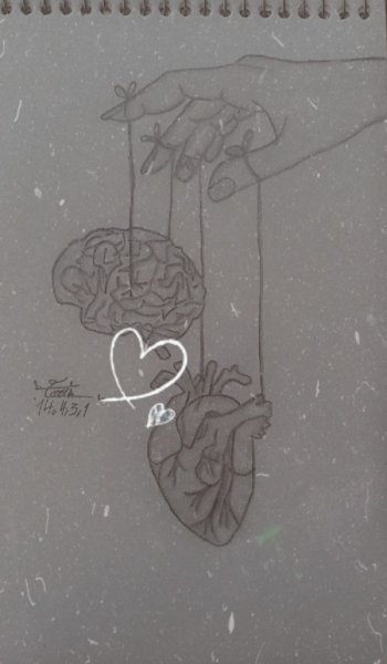  عکس عاشقانه استوری