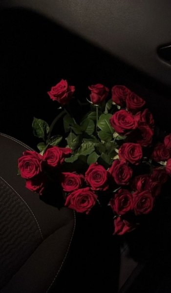  عکس عاشقانه استوری