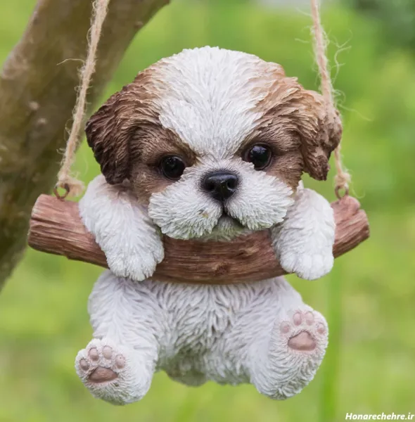 عکس سگ پاکوتاه ایرانی