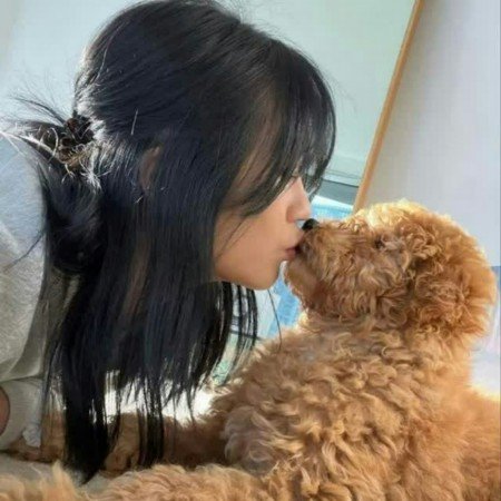  عکس سگ گوگولی