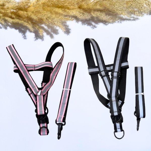  78 عکس سگ پشمالو