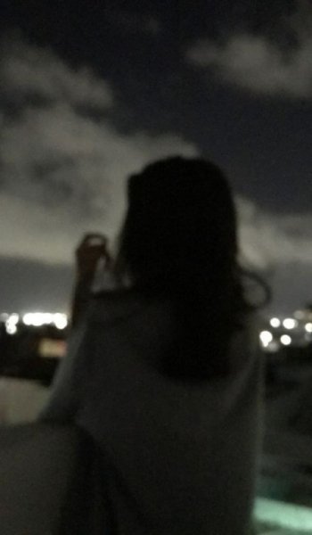  عکس سگ پشمالو برای پروفایل