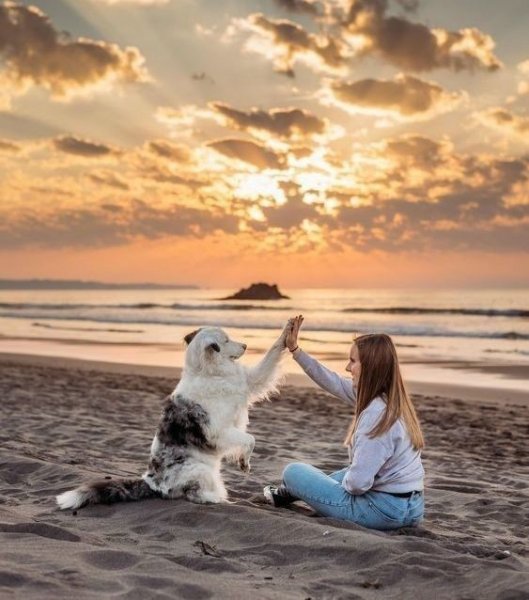  عکس دختر با سگ برای پروفایل فانتزی