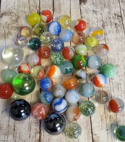  عکس سگ سیاه و سفید