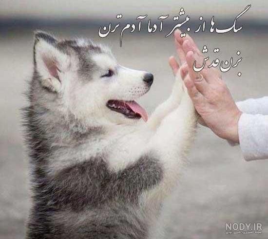  عکس دختر با سگ پاکوتاه