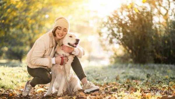  عکس دختر با سگ پاکوتاه