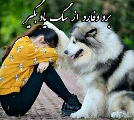  عکس دختر با سگ پاکوتاه