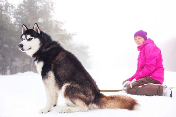  عکس دختر با سگ کارتونی