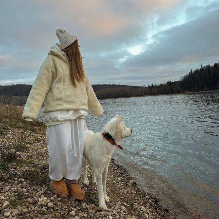  عکس سگ سفید برفی