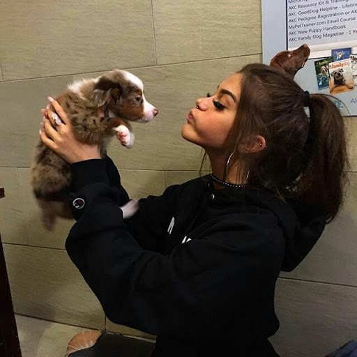 عکس دختر با سگ پاکوتاه