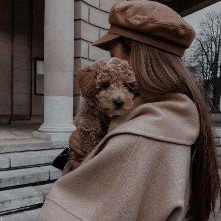  عکس سگ بامزه برای پروفایل