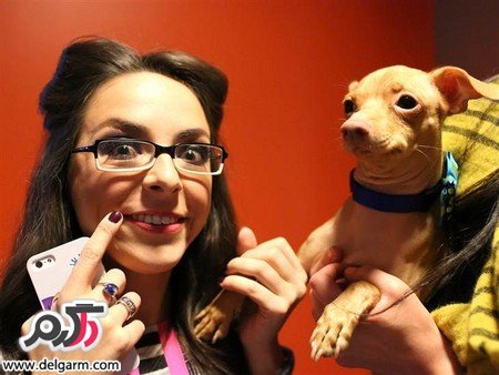 عکس سگ برای پروفایل