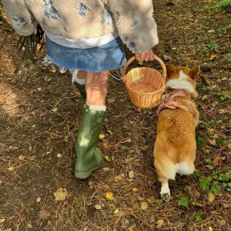  عکس سگ فانتزی واقعی