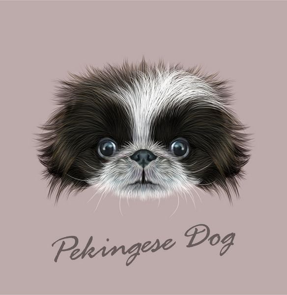  عکس سگ کارتونی برای پروفایل