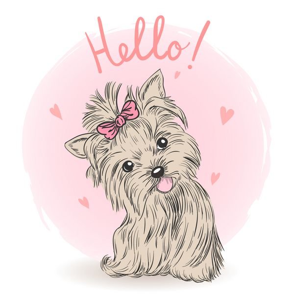  عکس سگ کارتونی ساده