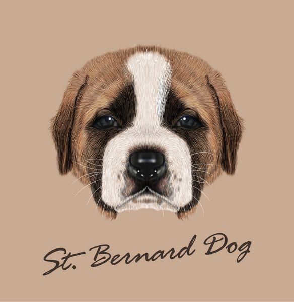  عکس سگ کارتونی ساده