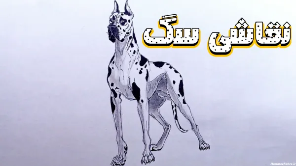  عکس نقاشی سگ وحشی