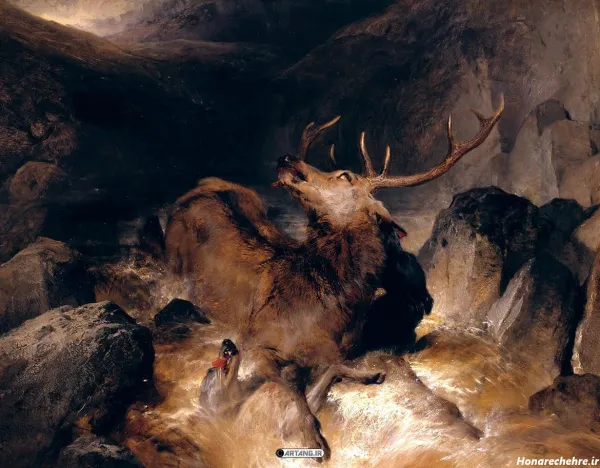  عکس نقاشی سگ وحشی